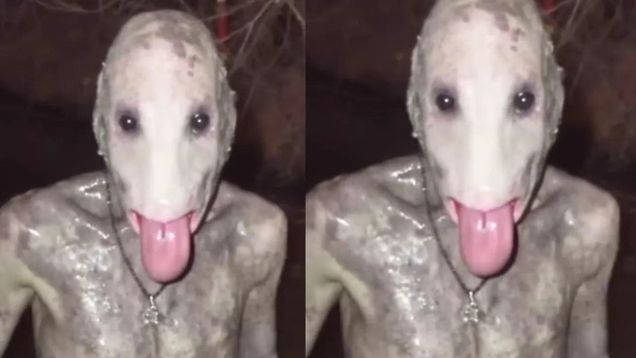 VIRAL mysterious VIDEO