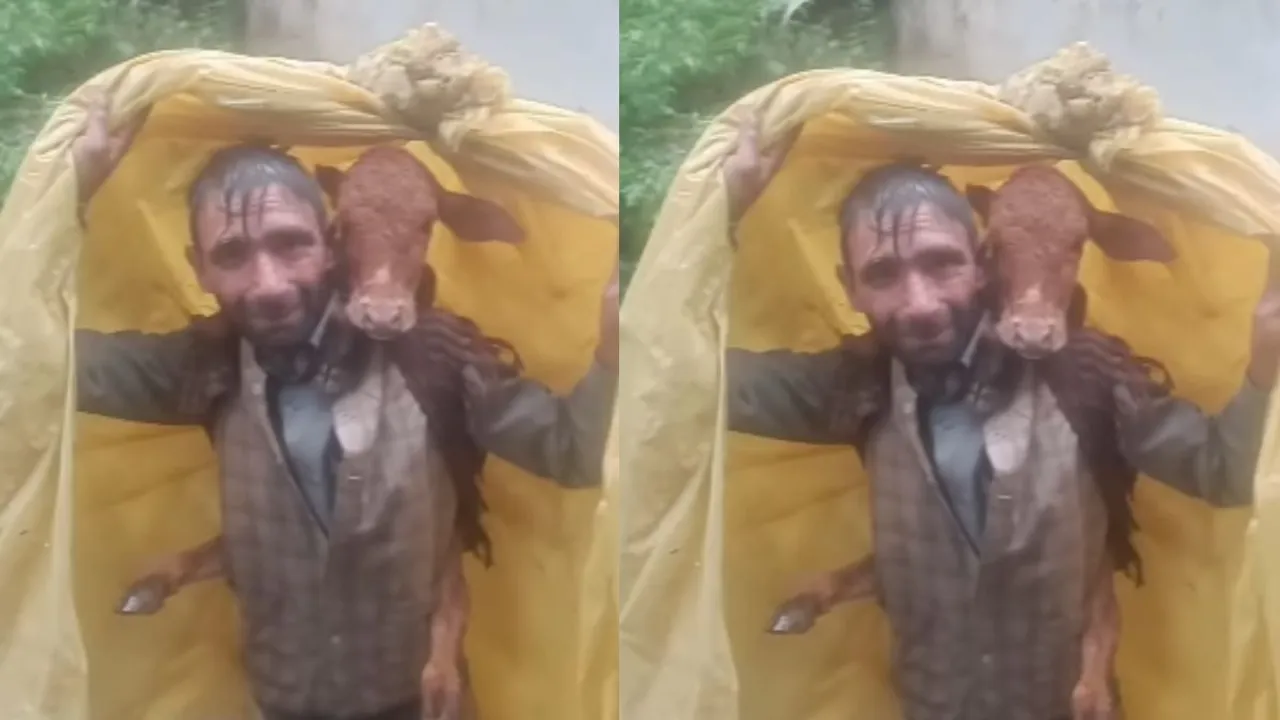 viral rain video social media