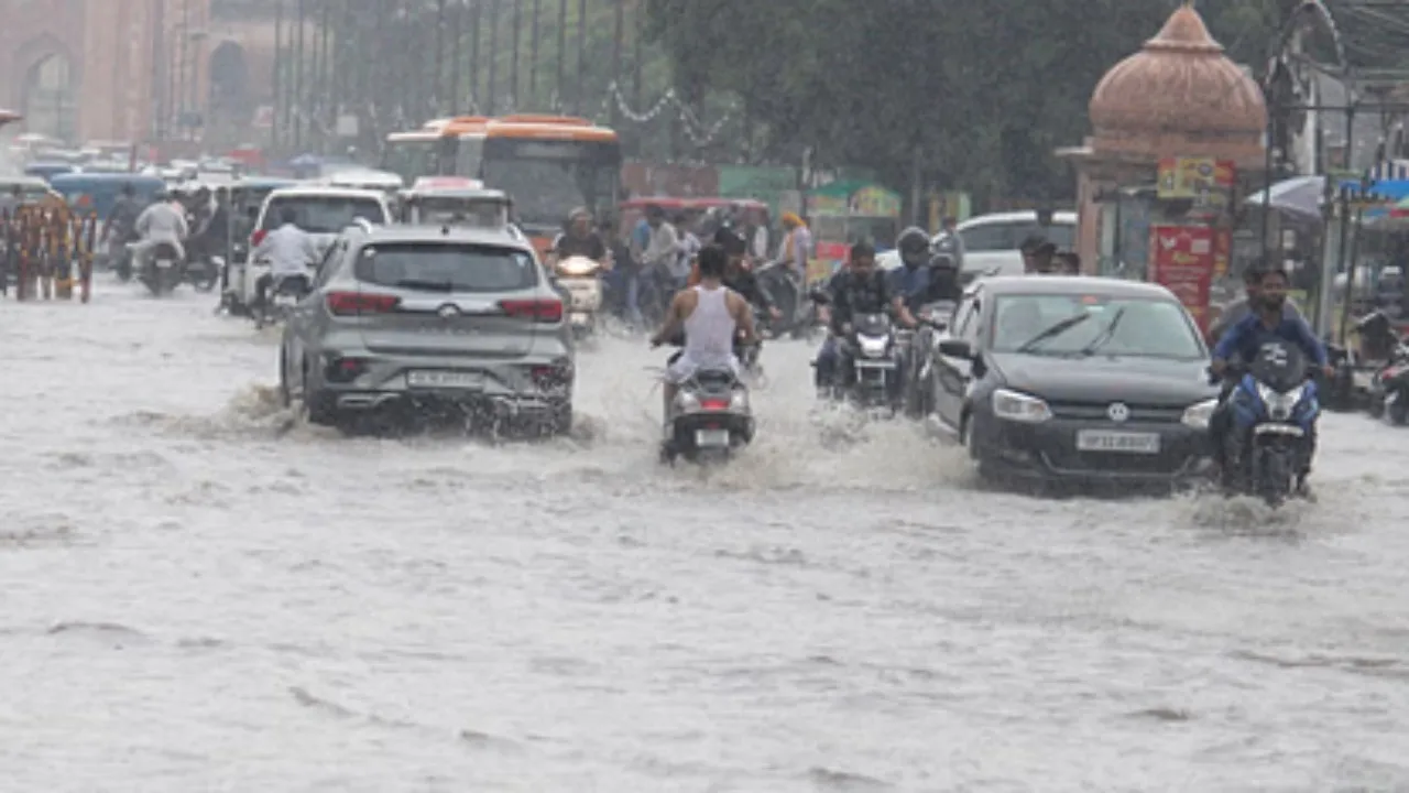 UP Heavy Rain