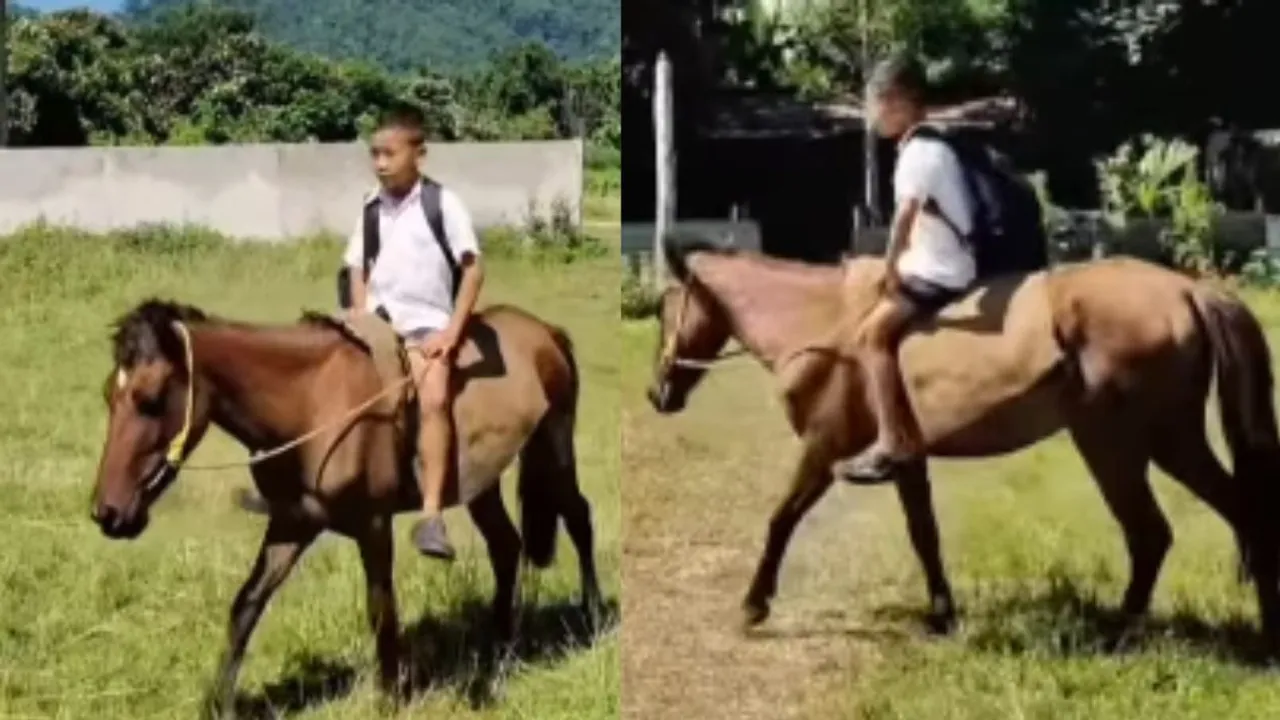 viral video school boy horse ride