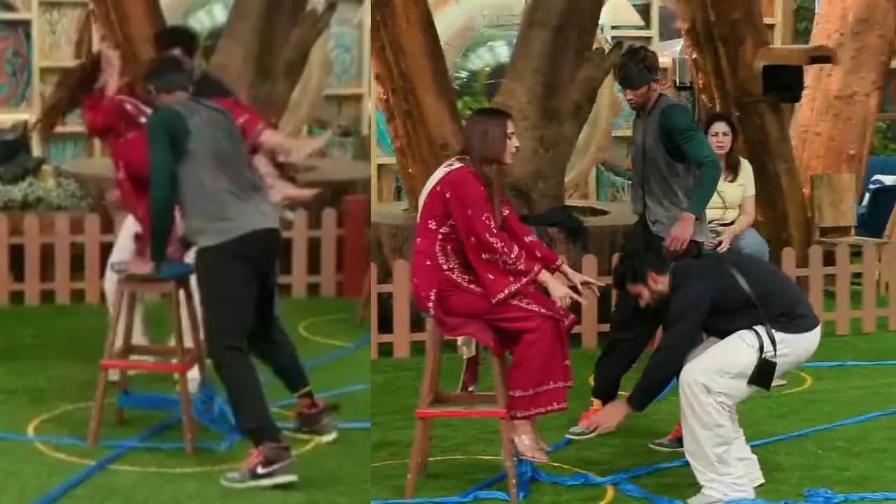 Bigg Boss 19 (8)