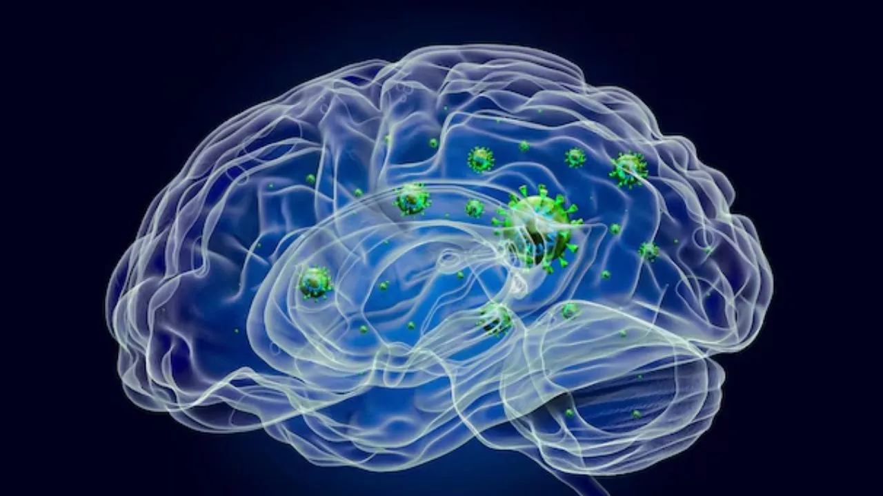 One More death in Kerala Due to Brain Eating Amoeba