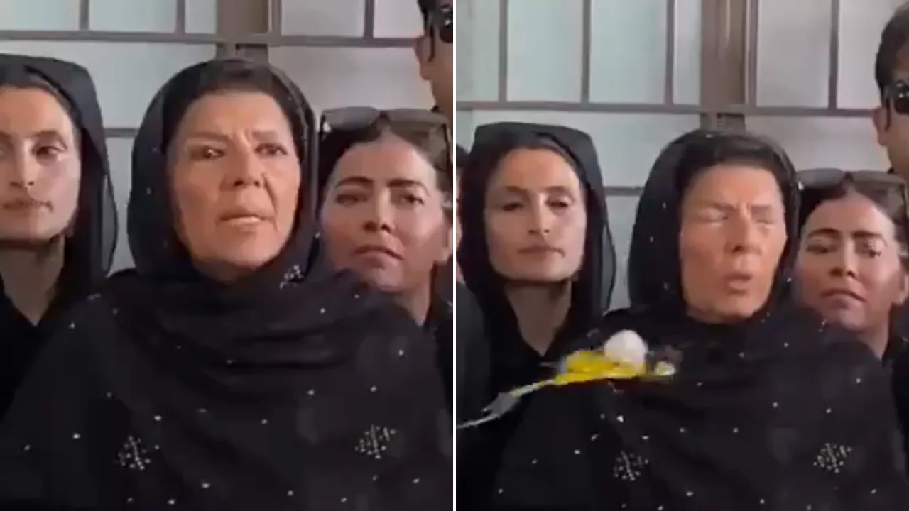 Pakistan Ex PM Imran Khan Sister Egg attack news in hindi