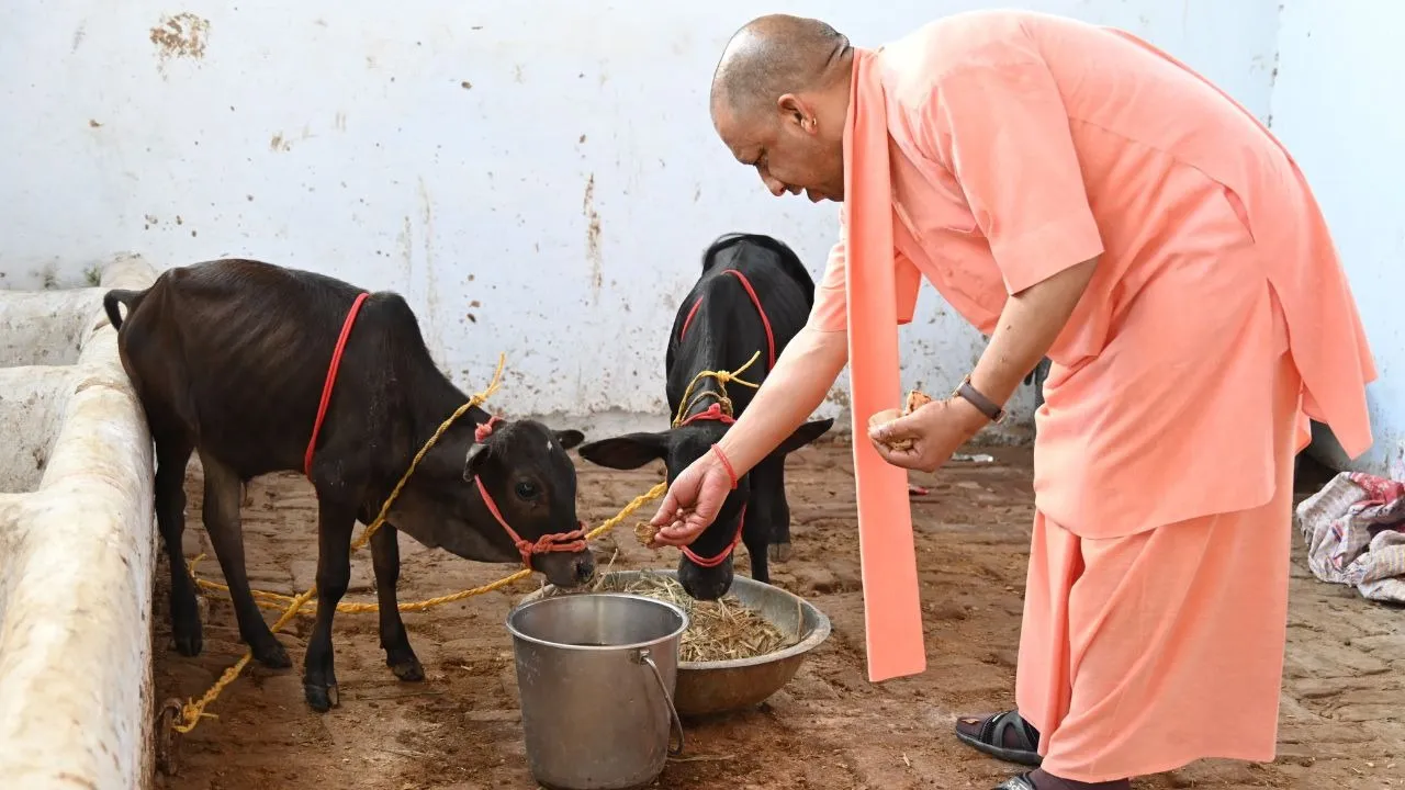 CM Yogi