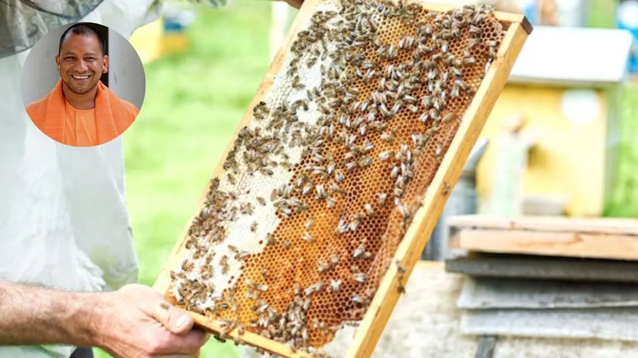Free Bees Keeping Training to farmers for 90 Days by UP Govt