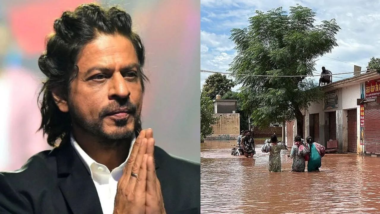 Shahrukh Khan (5)