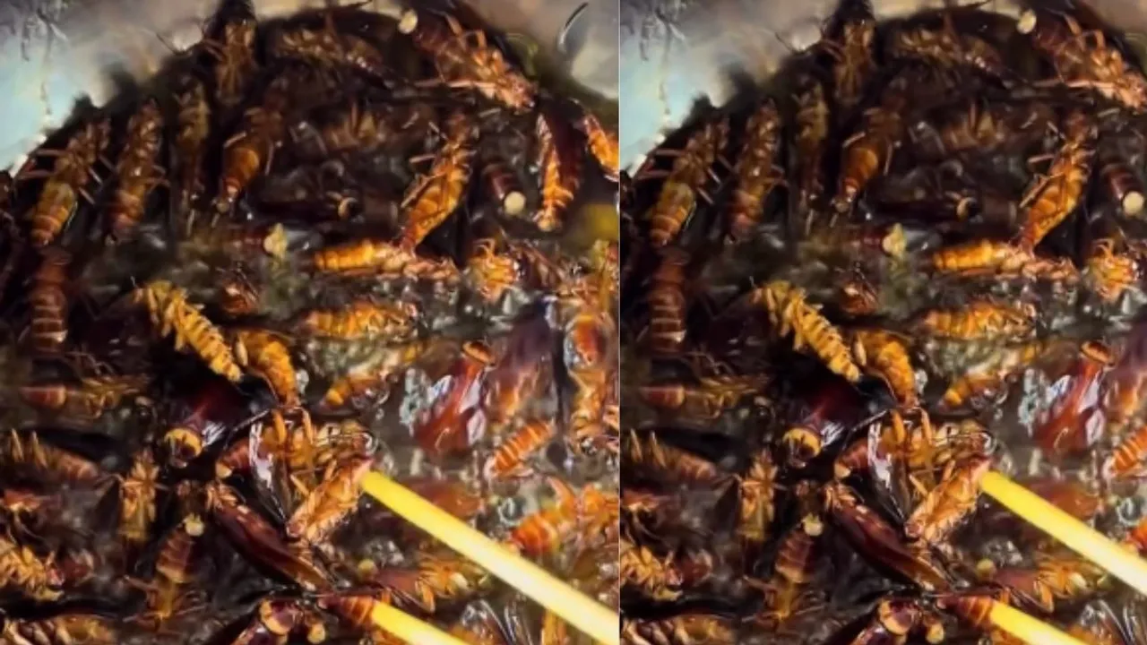 viral cockroach vegetable