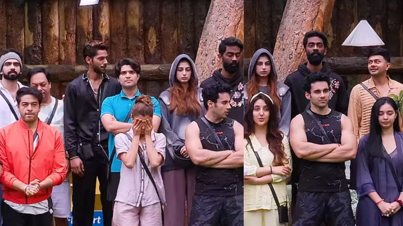 Bigg Boss 19 (18)