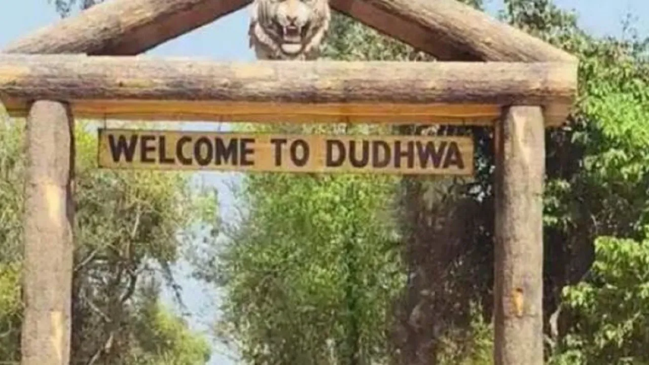 dudhwa