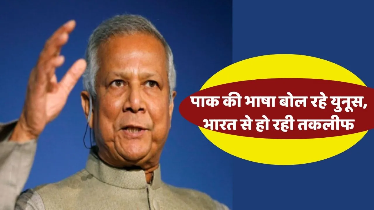 Mohammad Yunus On India