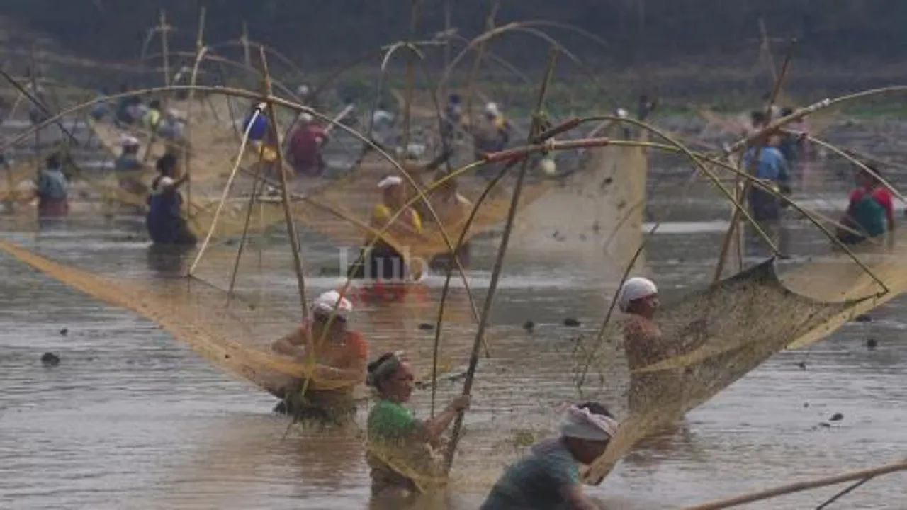 fish net
