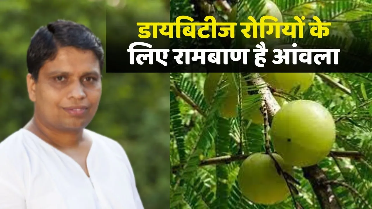 benefits of amla