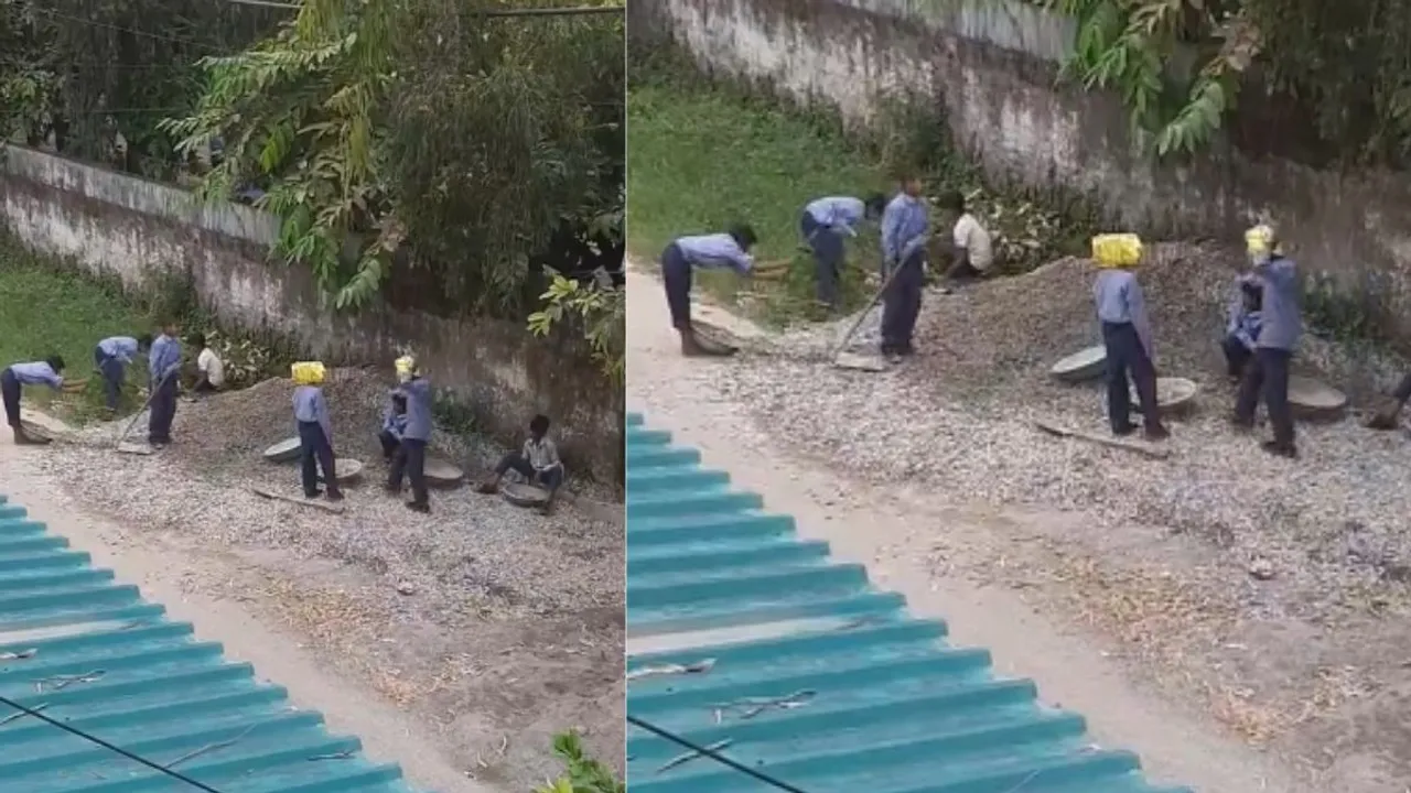 viral video  (8)