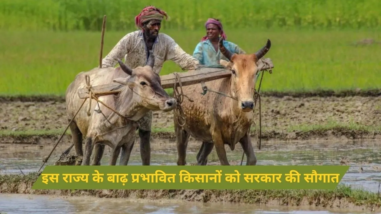 Maharashtra Farmers