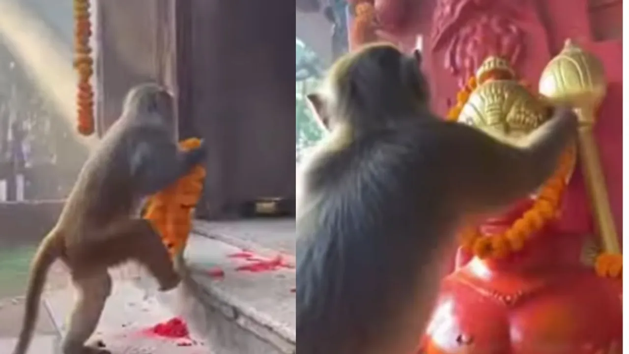 viral news (9)