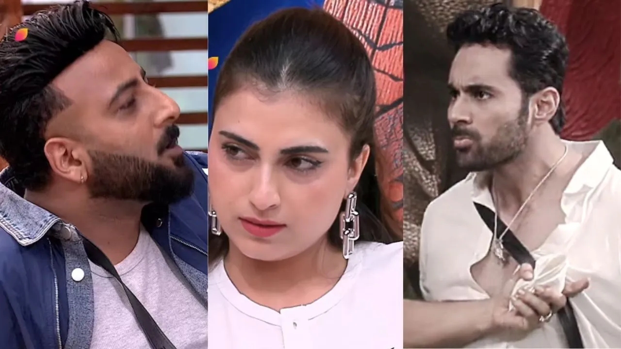 bIGG BOSS 19 (24)