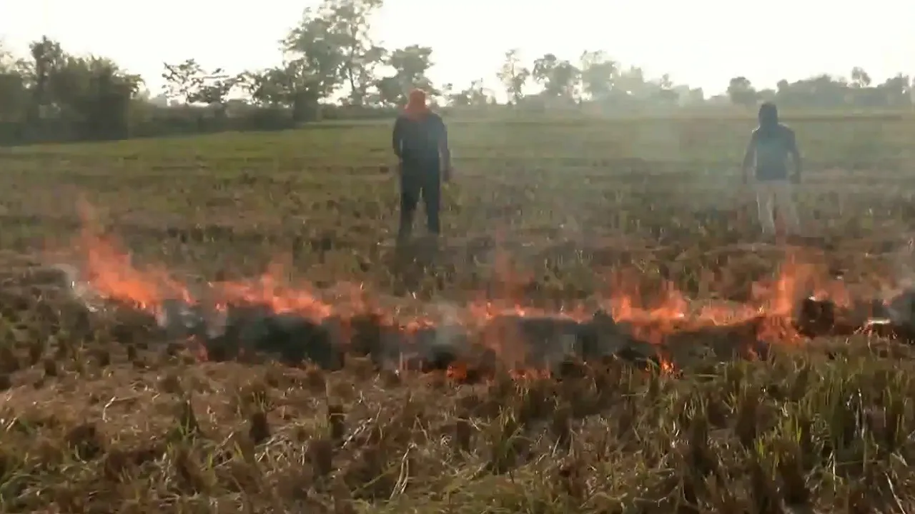 Stubble Brurning in Punjab