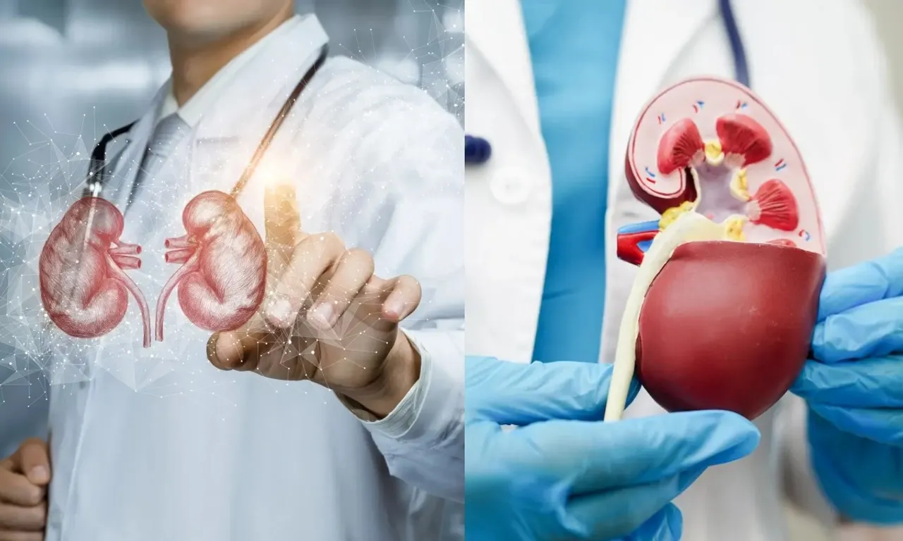 Kidney Transplant Care Tips