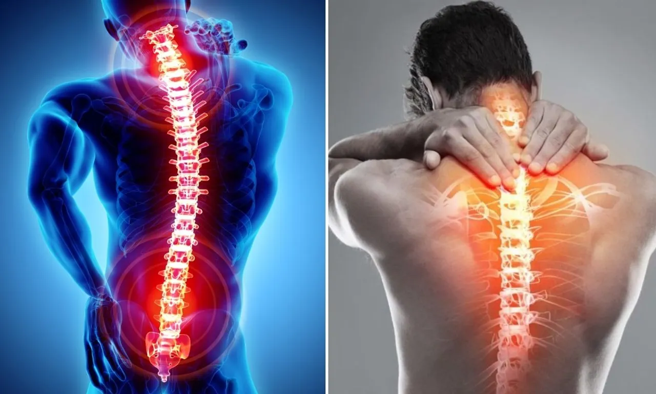 Lower Back Spine Pain