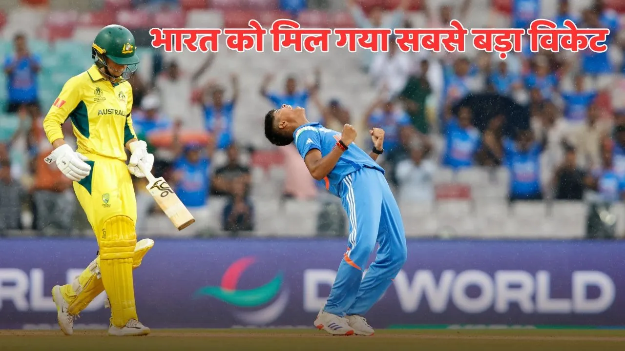 Alyssa Healy got out after scoring 5 runs duing ind w vs aus w semifinal match