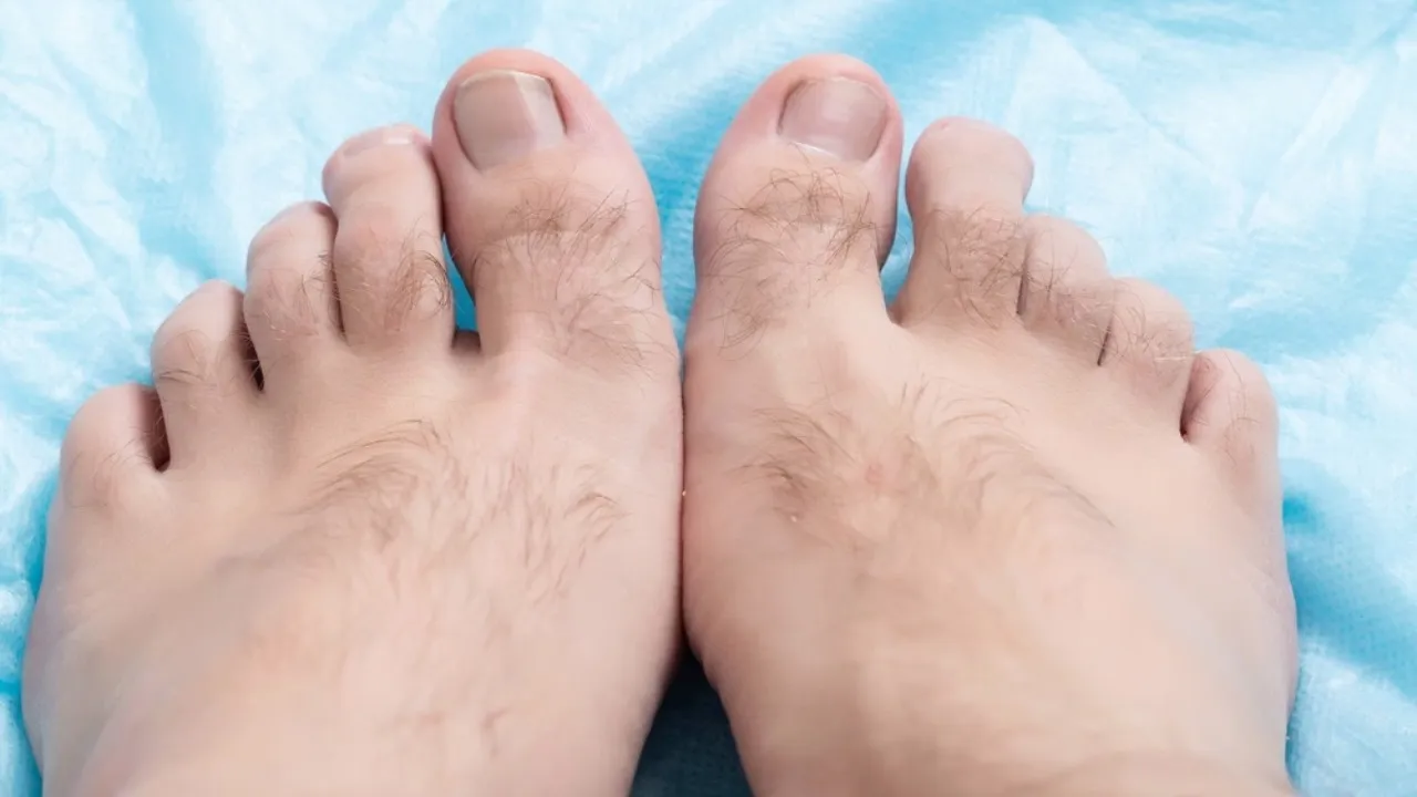 Toe Hair Meaning