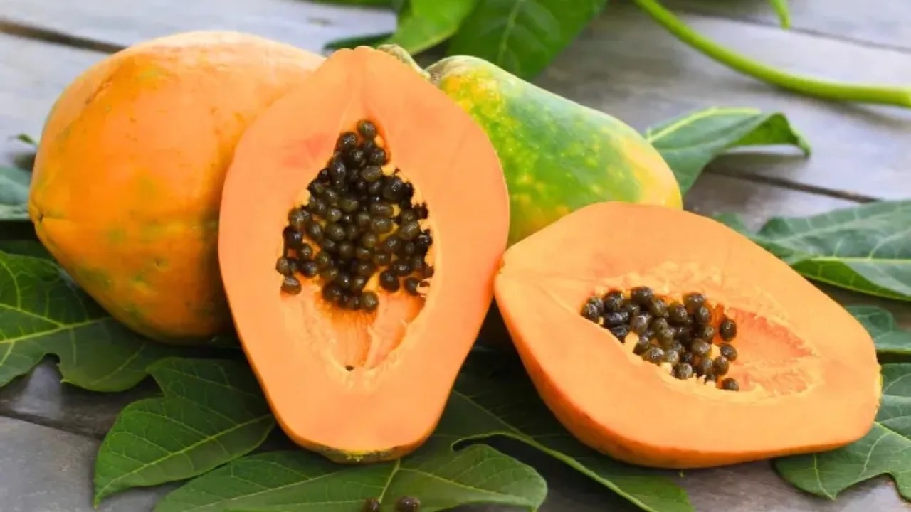 Papaya Health Risk