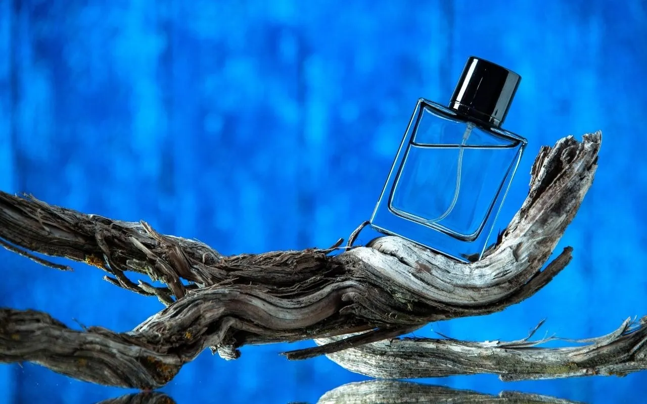 Men's Perfume Collection