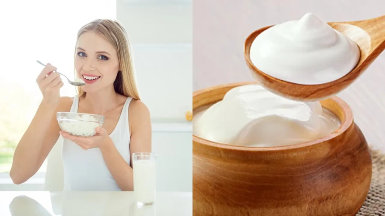 Winter Curd Health Tips