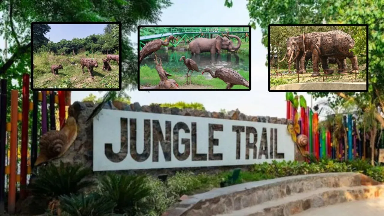 Jungle-trail-in-noida