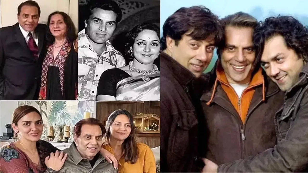 Dharmendra Property Distribution