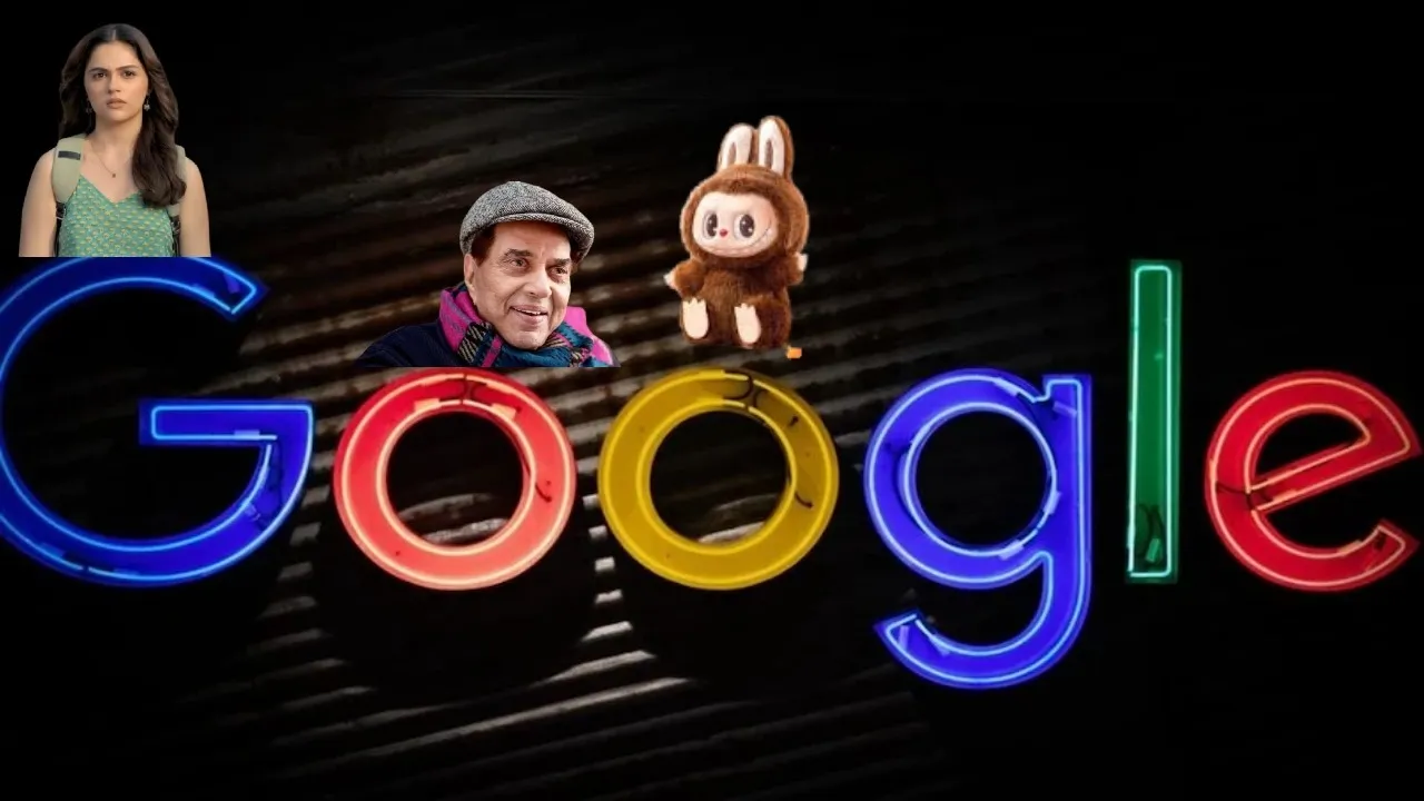 Google search trend (1)