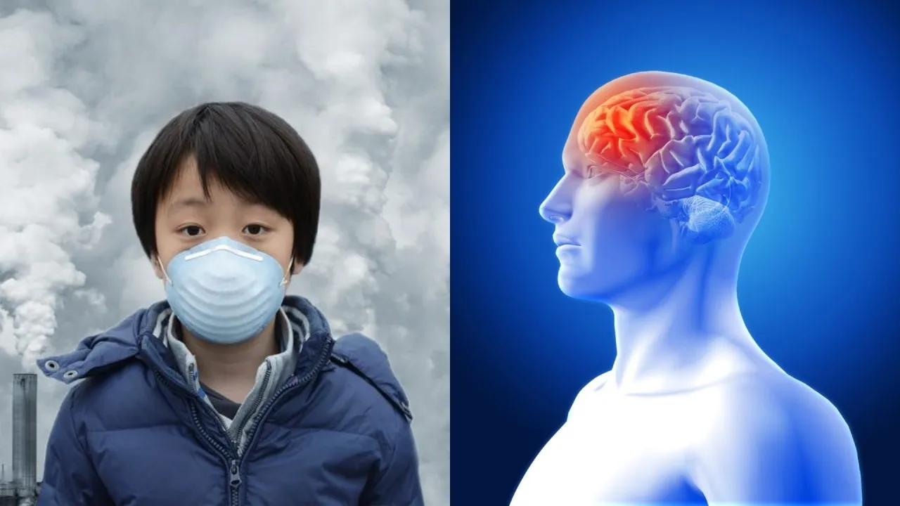 Air Pollution And Stroke Risk