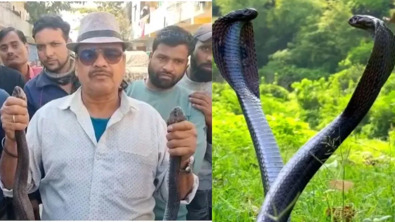 naag-nagin-caught-in-mp