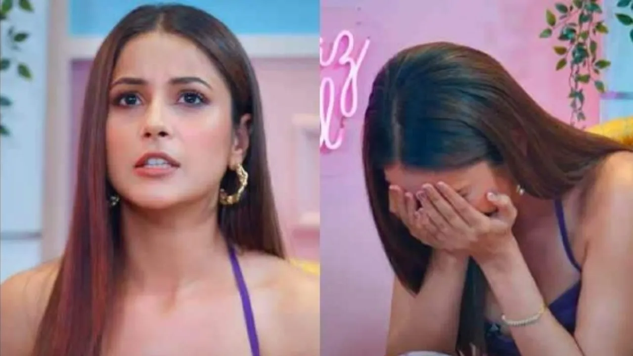 Shehnaaz Gill Open Up On Betrayal In Life