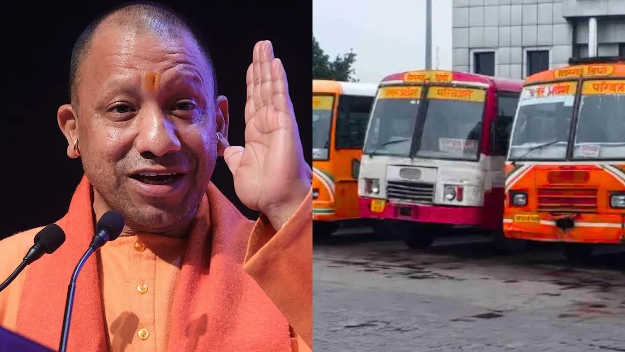 CM Yogi Roadway Bus