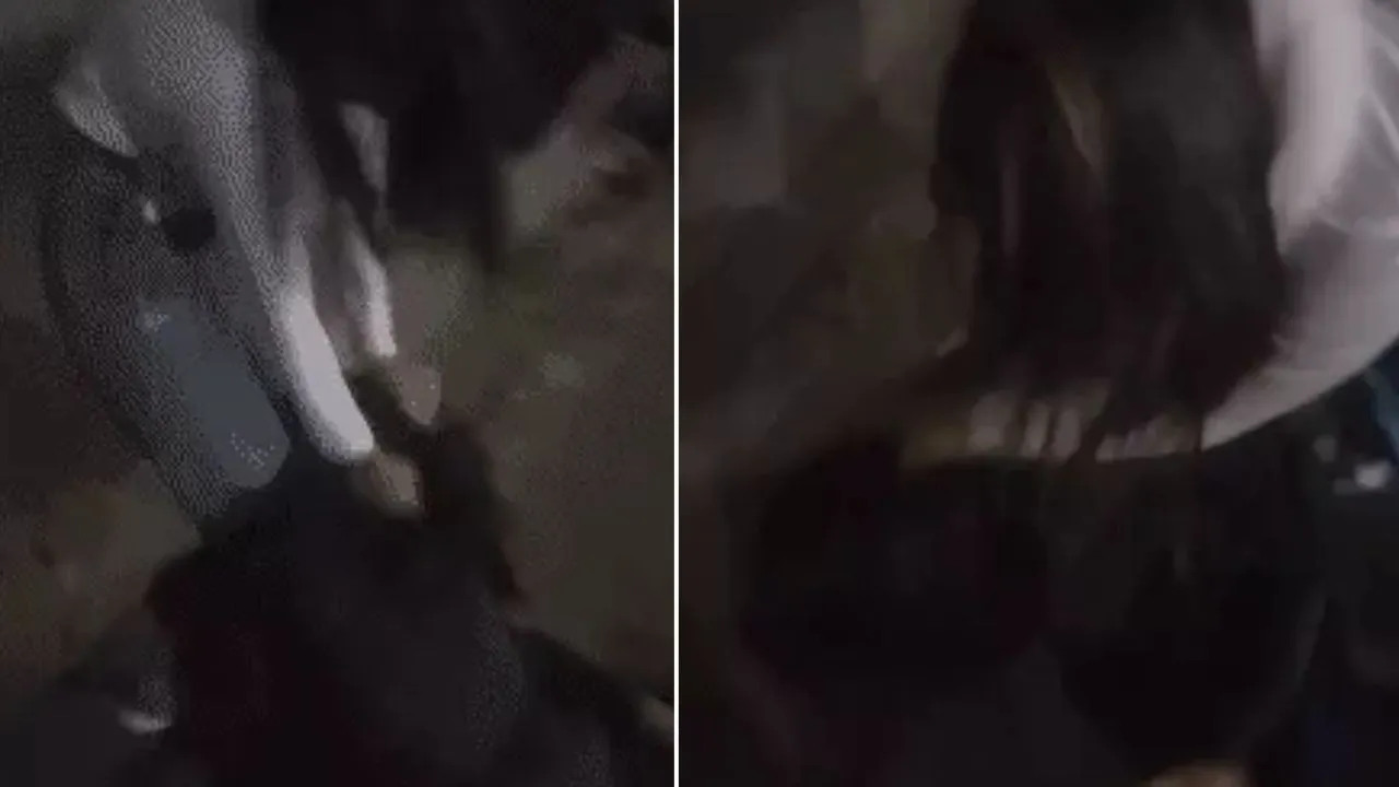 Kanpur Girls Fight For Boy Friend