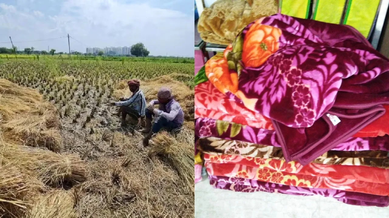 Eco Friendly Blanket