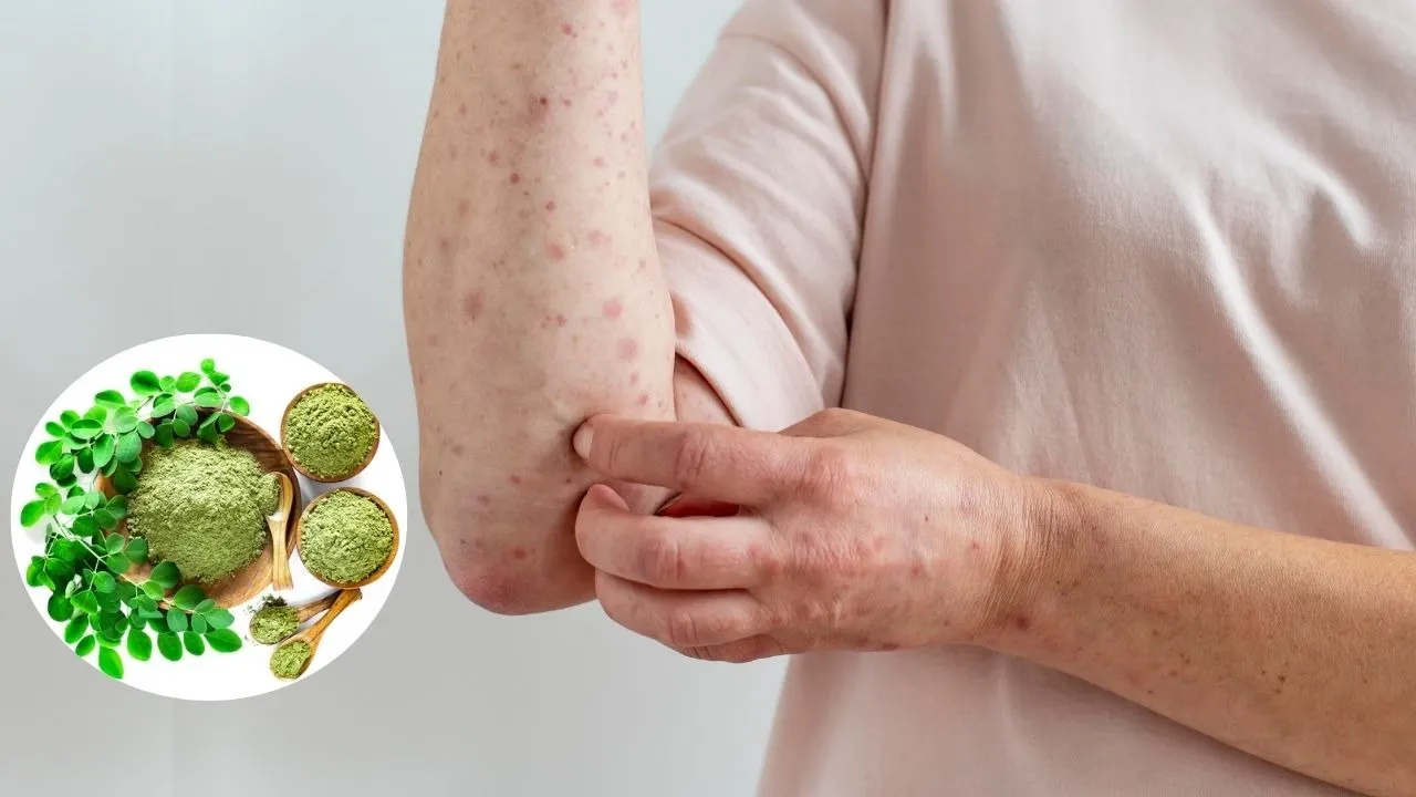 Moringa Powder Benefits