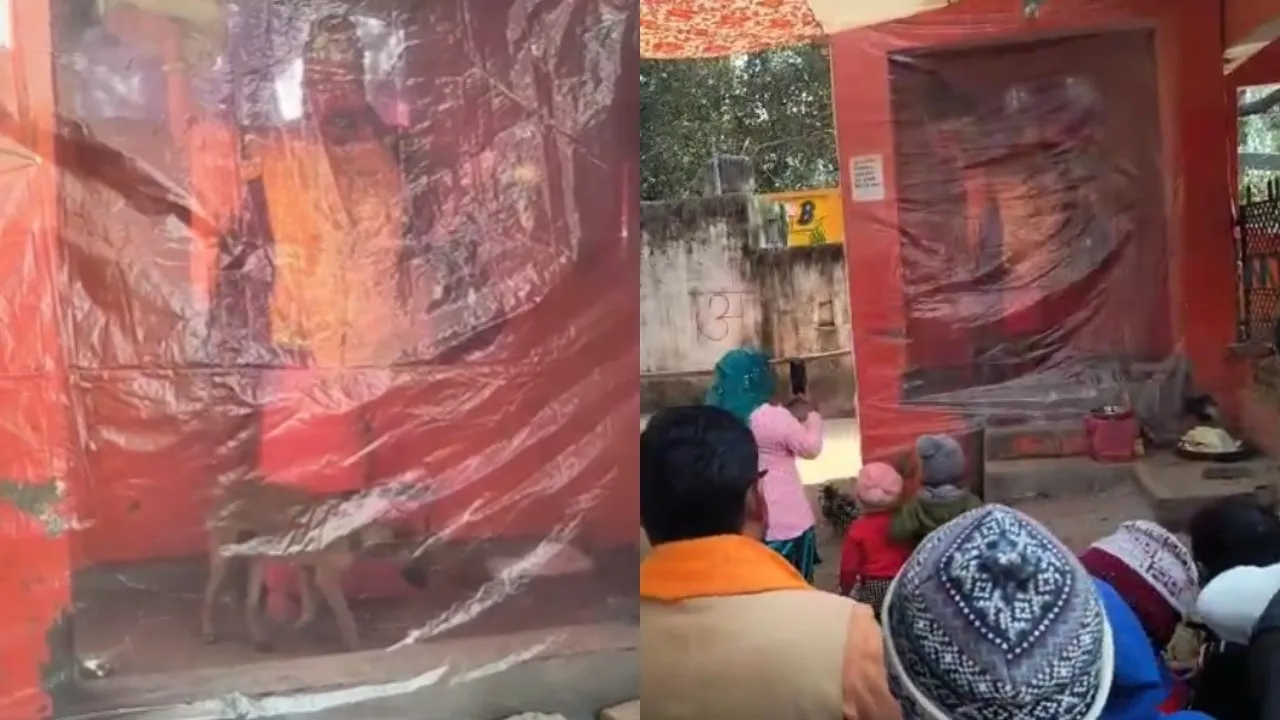 वायरल वीडियो