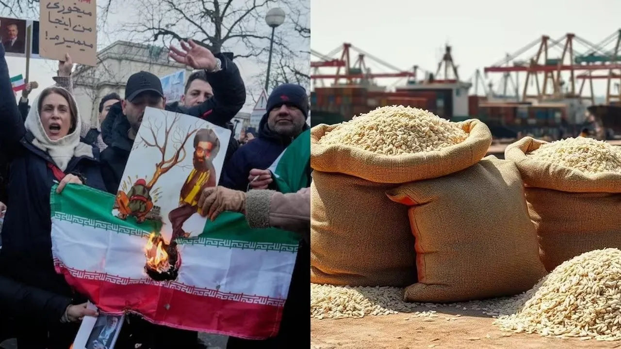 iran protest and rice export