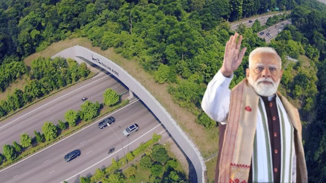 Kaziranga-elevated-corridor (1)