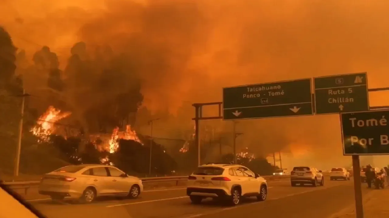Chile forest fire