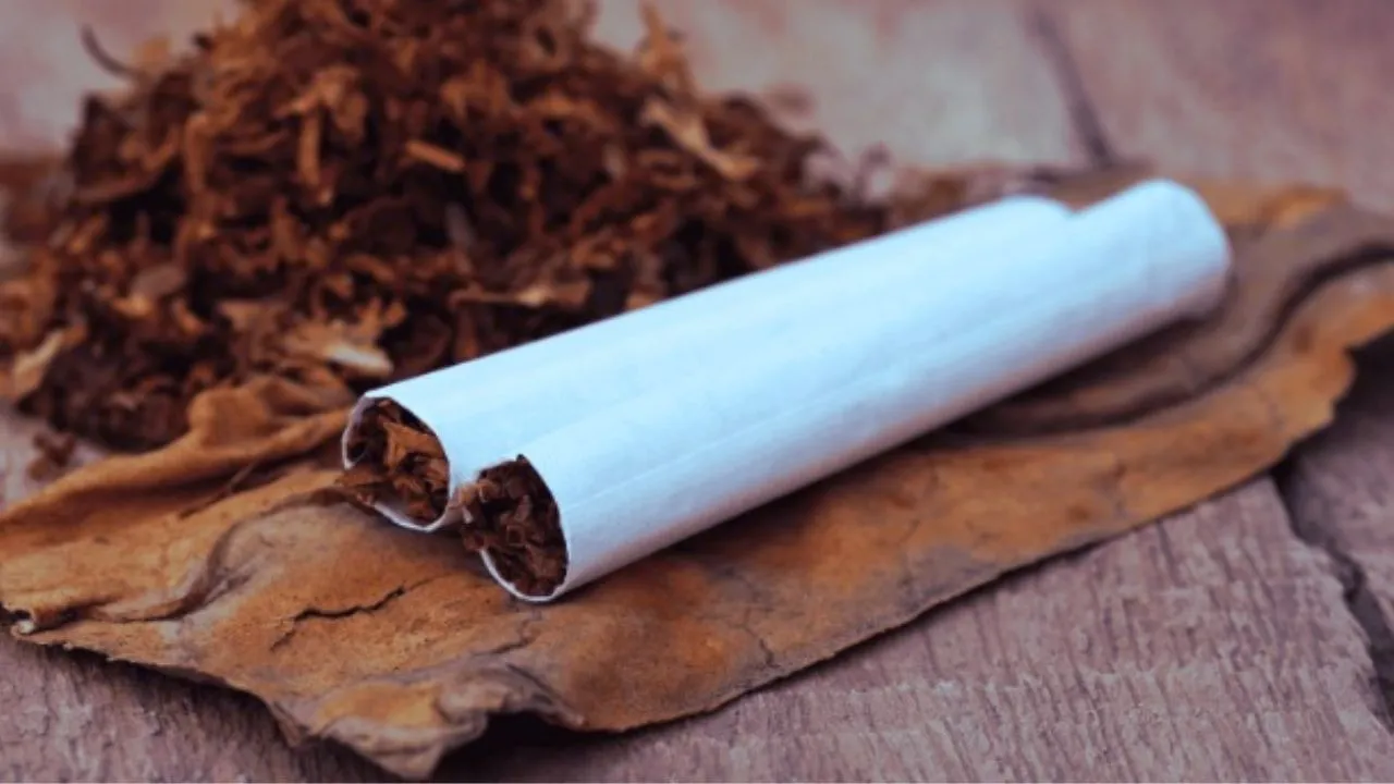 Tobacco-excise-duty-cut