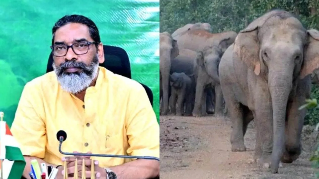 Hemant Soren on Elephants rescue