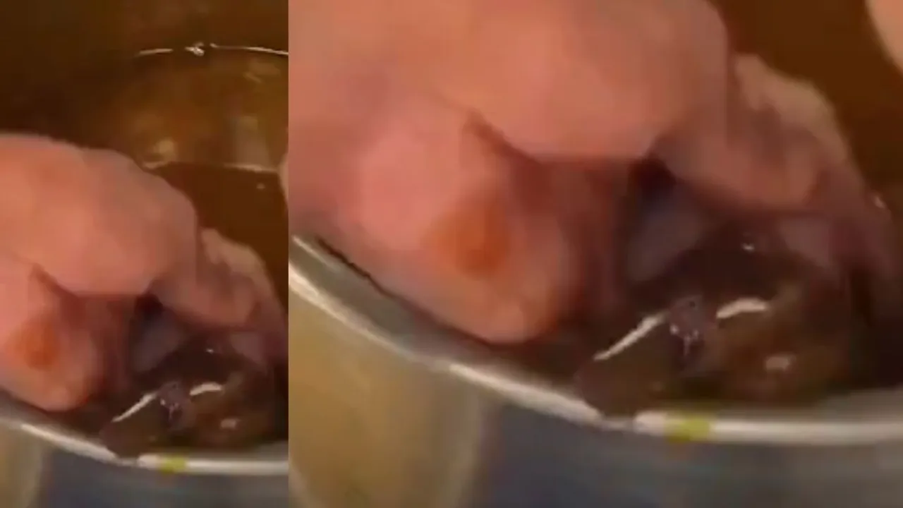 Viral video rat in panipuri