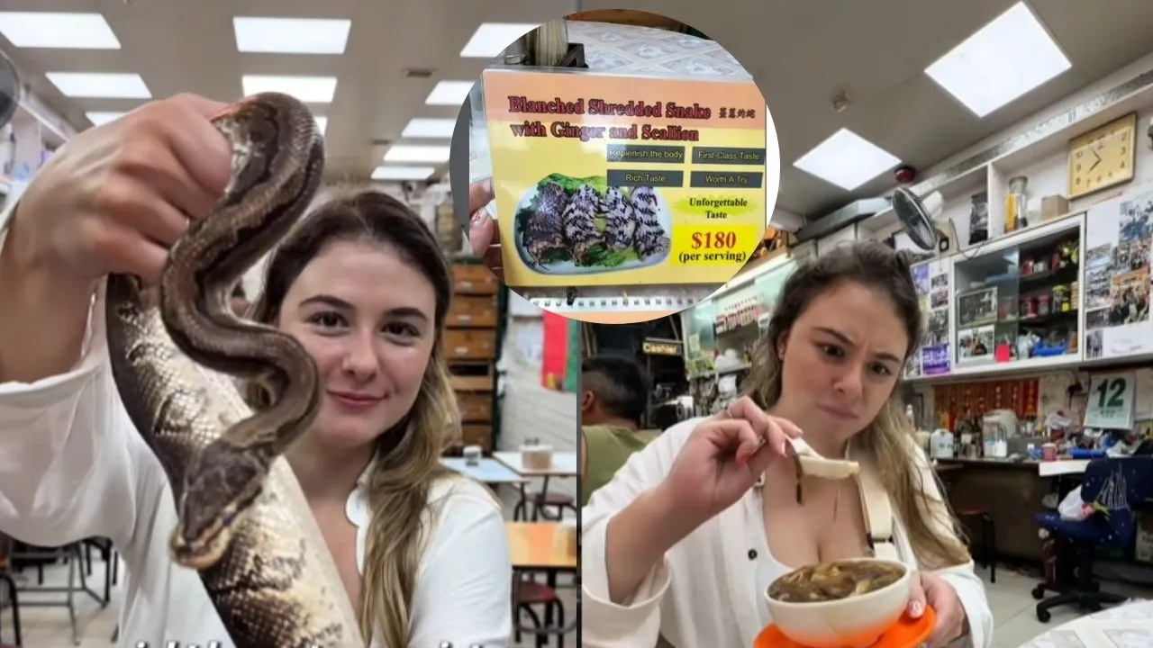 king cobra snake menu Hong Kong