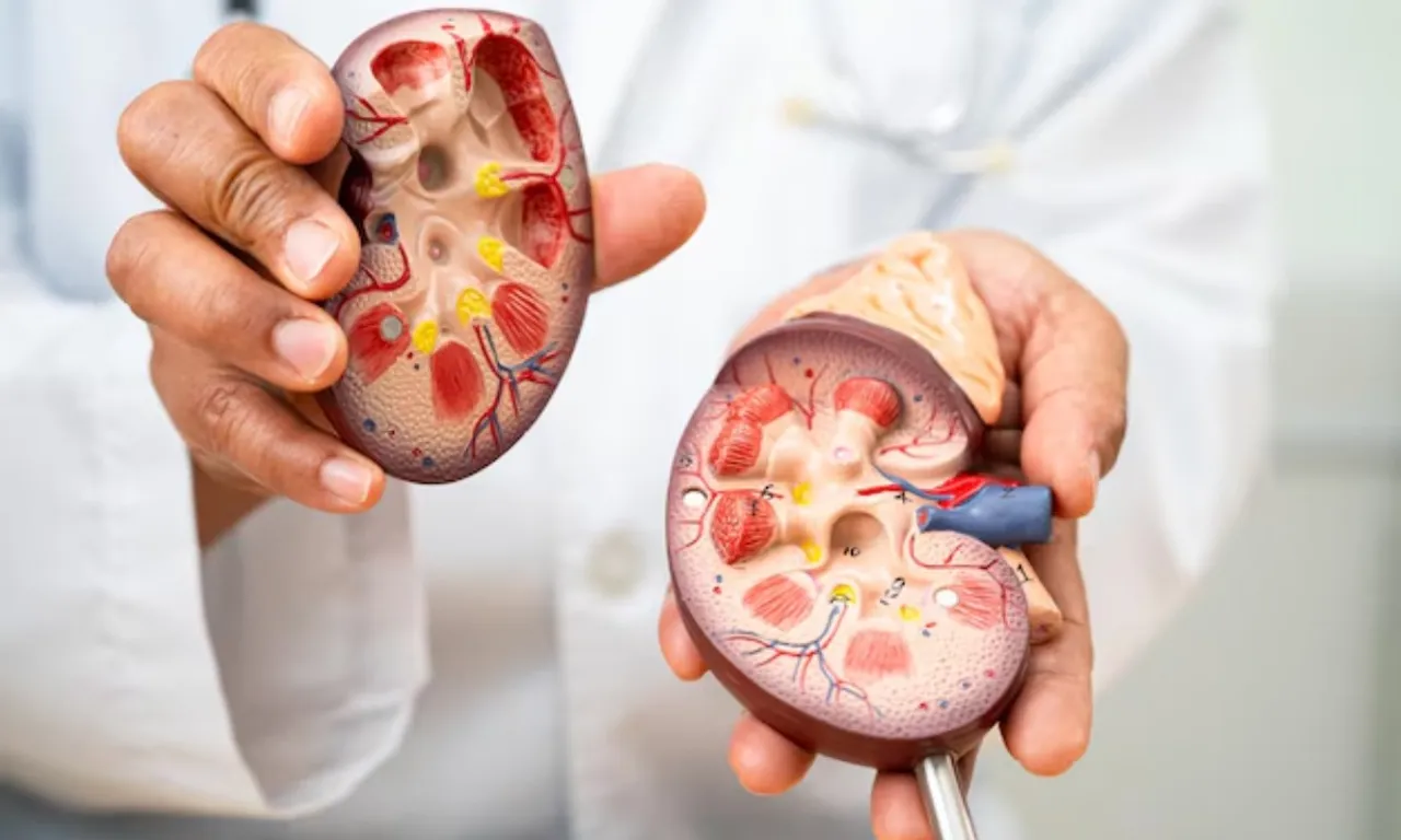 kidney failure causes