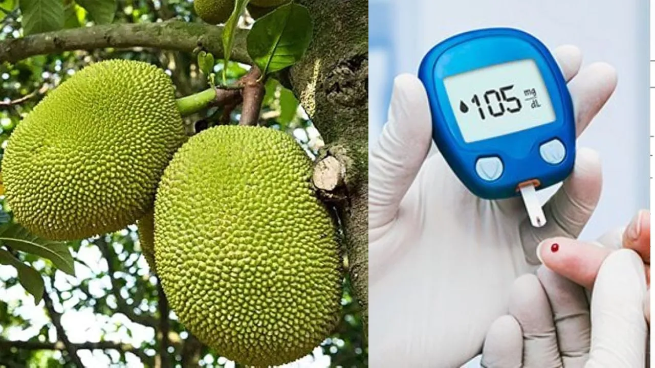 jack fruit (3)