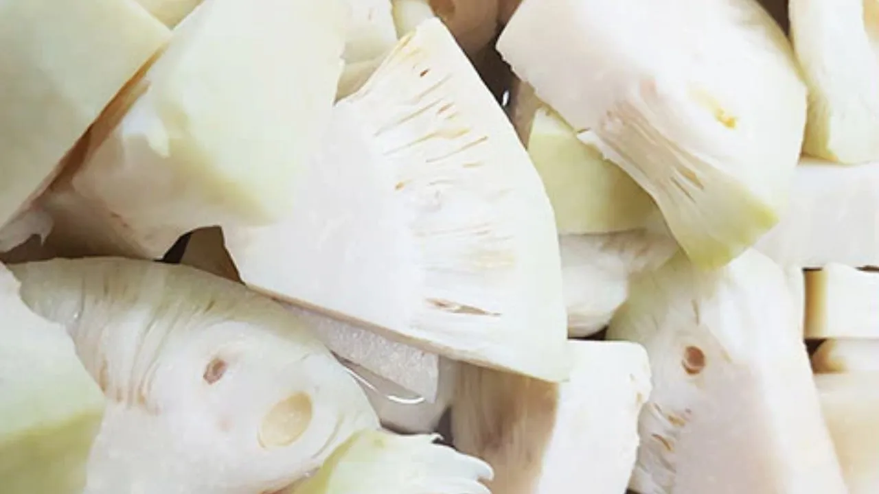 jack fruit (5)