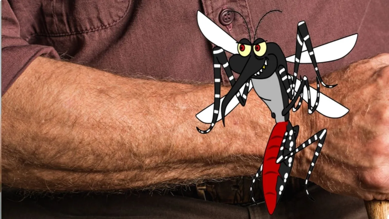 mosquitoes bite 3
